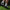 FLEEK DIABLO LOW FOOTBALL CLEATS ソリッドブラック