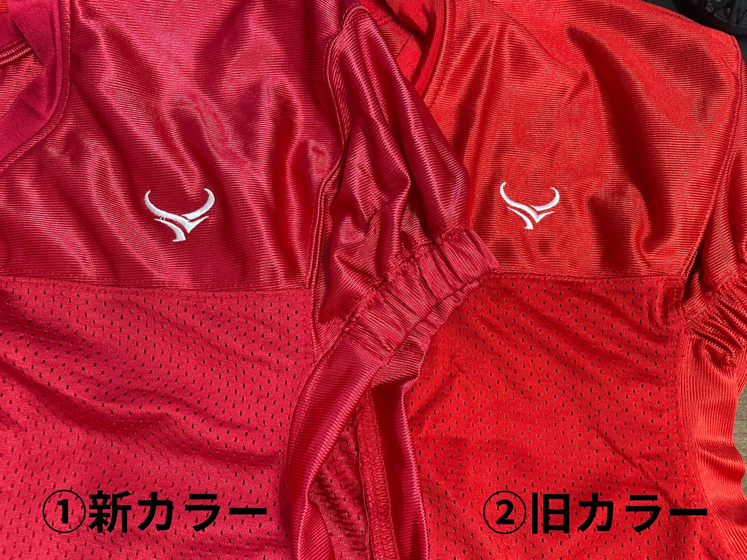 FLEEK University Practice Jersey Red (Number Compatible)